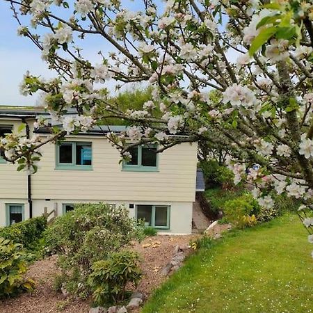 Broadhaven Cottage, Freshwater East, Pembs Pembroke Exterior foto