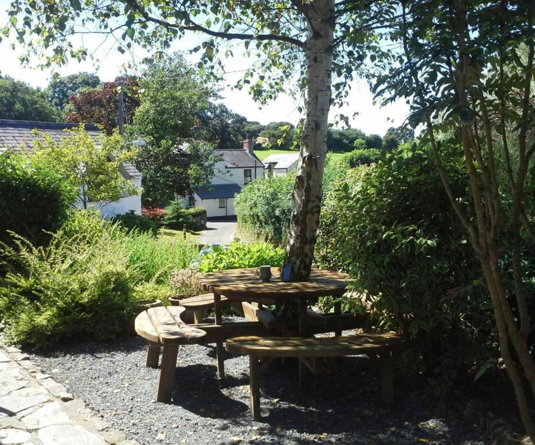 Broadhaven Cottage, Freshwater East, Pembs Pembroke Exterior foto